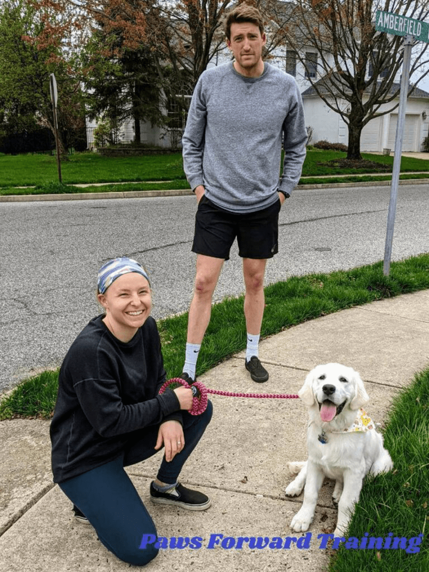 Home Paws Forward Training